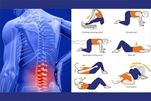 Best Lower Back Pain Exercises