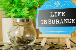 Best Single Premium Insurance Plans and Benefits