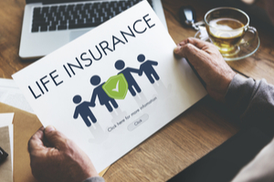 Elementary Guide: Features of Life Insurance