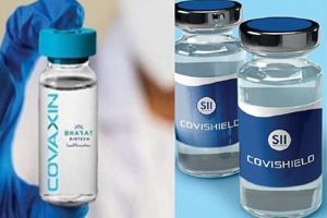 Covaxin vs Covishield: Difference Between Covaxin ...