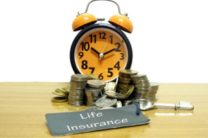 Life Insurance Plans Available in India