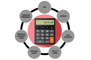 Term insurance premium calculator online