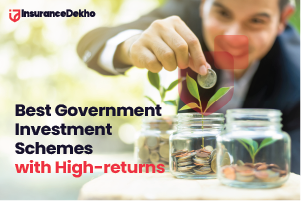 A List of Best Government Investment Schemes with High-returns
