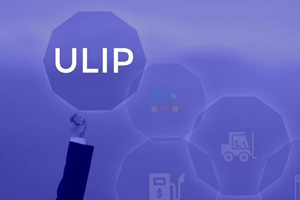 Are ULIPs a Good Long-Term Goal Investment?