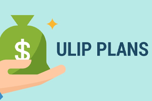 Are You Planning To Know Purchase ULIP? Know Everything About ULIPs