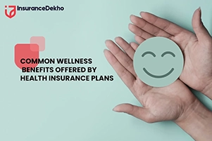 Common Wellness Benefits in Health Insurance Plans