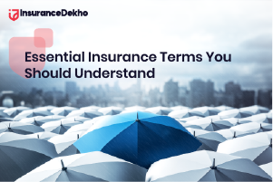 Essential Insurance Terms
