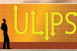 Know Which ULIP Fund To Invest In?