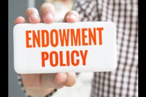 Reasons To Buy Endowment Insurance Plans