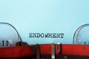 Types And Benefits Of Endowment Plan You Should Be Aware Of