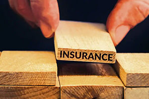  Types of Bonuses in Life Insurance