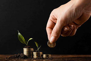 Endowment Plan vs Fixed Deposit (FD): Which Is Better?