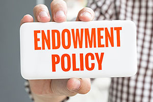 What Are The Variants Of Endowment Plans
