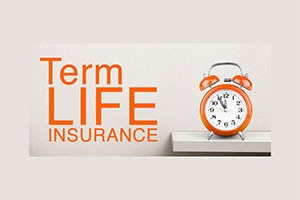 How My Profession Can Affect The Premium Of My Term Insurance Plan?