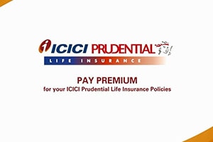 Everything You Need to Know Return Of Premium Plan...