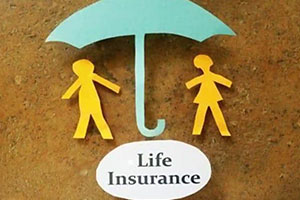 Can I Get Guaranteed Returns On Life Insurance Plans?