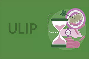 How Can ULIPs Assist in the Development of Long-Term Wealth?