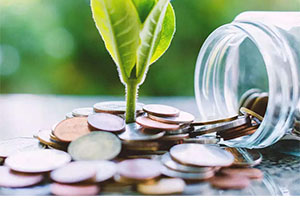 Look For An Endowment Plan To Assist You In Growing Your Savings.