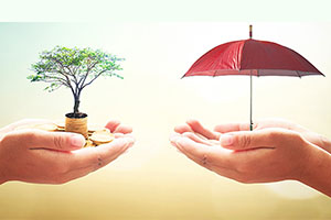 Term Insurance Plans Vs Life Insurance