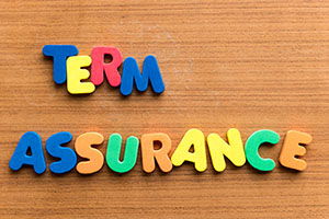 The Best Term Insurance Plans In India