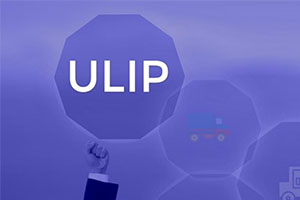 Understand How ULIPs Work