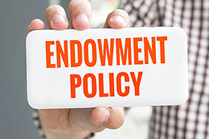 Are Endowment Plans Worth It