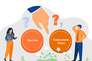  Investing in Endowment Policies vs. Investing in Equities
