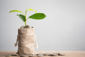 How May Endowment Insurance Help In The Growth Of Your Savings?