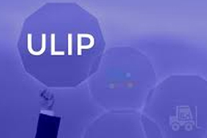 Understand Everything About ULIP Calculator