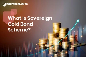 All You Need to Know About Sovereign Gold Bond Sch...