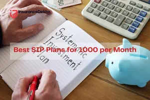 Best SIP Plans for 1000 Per Month in India