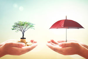 How The Endowment Is Better Than Term Insurance?
