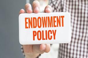 What Exactly Is An Endowment Plan?