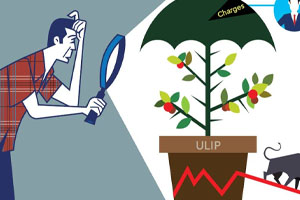 Why Should I Choose Endowment Over ULIP?